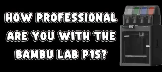 How Professional Are You with the Bambu Lab P1S
